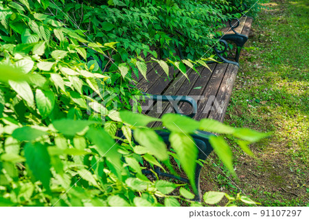 Bench / park image 91107297