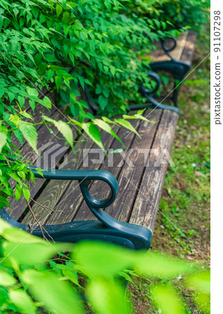 Bench / park image 91107298