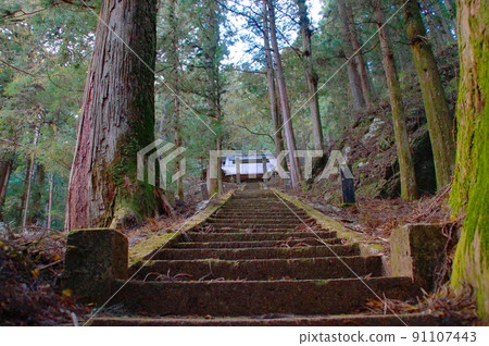 The approach to the old stone steps The approach to the old stone steps 91107443
