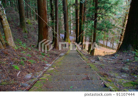 The approach to the old stone steps The approach to the old stone steps 91107444