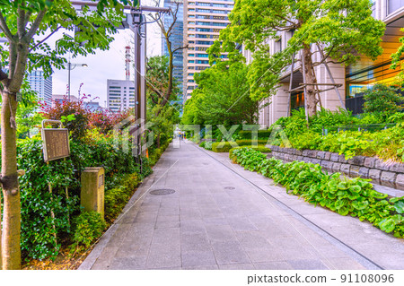 Tokyo cityscape of Japan, Otemachi, Tokyo. "The first row of trees in the city" (black locust). The current roadside tree is Enju 91108096
