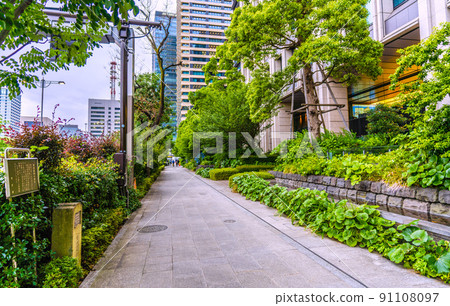 Tokyo cityscape of Japan, Otemachi, Tokyo. "The first row of trees in the city" (black locust). The current roadside tree is Enju 91108097