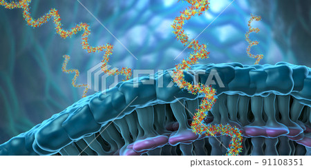 Ribonucleic acid strands consisting of nucleotides important for protein bio-synthesis - 3d illustration 91108351