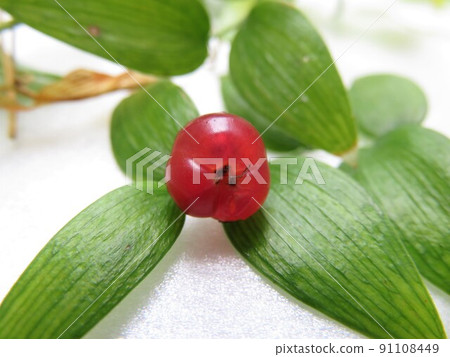 Smylux fruit Smylux fruit 91108449