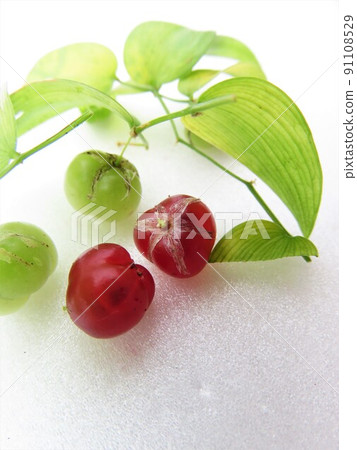 Smylux fruit Smylux fruit 91108529
