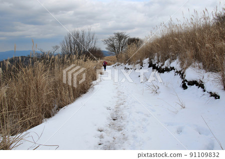 Miyama-Rurikei Hiking Trail: Snowy road in January Miyama-Rurikei Hiking Trail: Snowy road in January 91109832