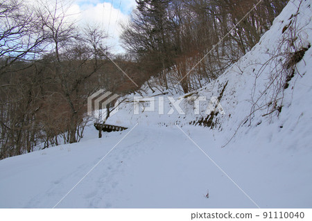 Miyama-Rurikei Hiking Trail: Snowy road in January 91110040