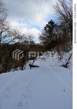 Miyama-Rurikei Hiking Trail: Snowy road in January 91110041
