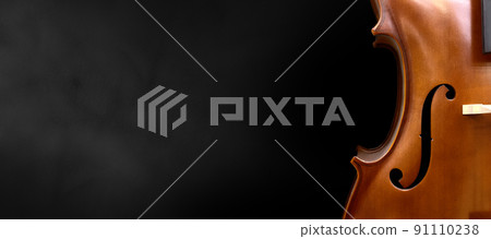 Violin on a black background. 91110238