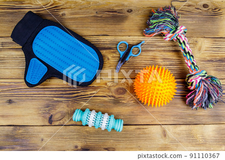 Toys and accessories for dogs on wooden background. Top view. Pet care concept Toys and accessories for dogs on wooden background. Top view. Pet care concept 91110367