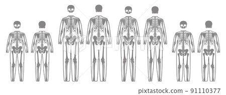 Set of Skeleton costume Human bones with scull front back view men women, children - boy, girl for clothes for Day 91110377