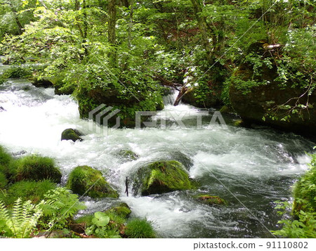 Oirase stream Oirase stream 91110802