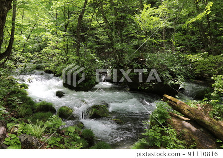Oirase stream Oirase stream 91110816