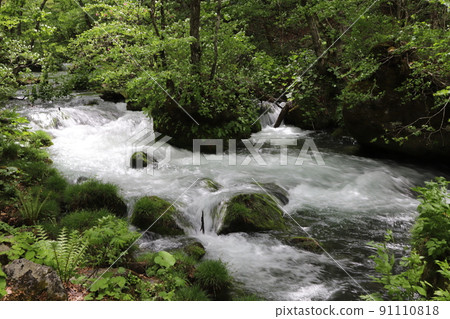 Oirase stream Oirase stream 91110818