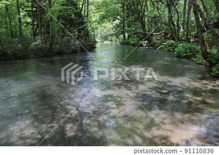 Oirase stream Oirase stream 91110836