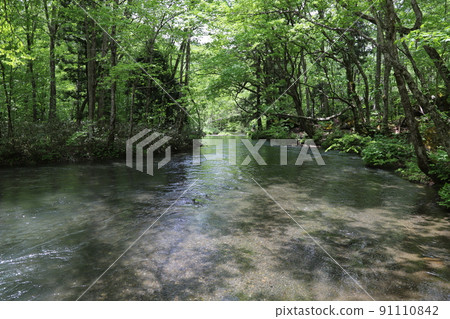 Oirase stream Oirase stream 91110842
