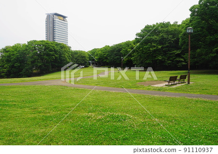 六月多摩 579 三葉草場 / 多摩中央公園 六月多摩 579 三葉草場 / 多摩中央公園 91110937