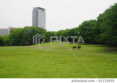 June Tama 580 Clover Field / Tama Central Park June Tama 580 Clover Field / Tama Central Park 91110939