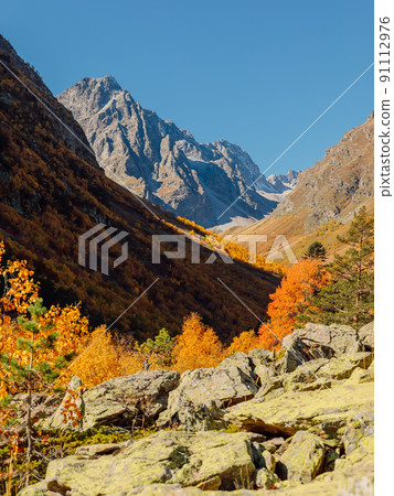 Scenic mountains with autumnal forest in Europe. High mountain landscape 91112976
