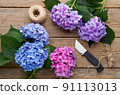 Hydrangea branches and a knife on an old wooden table 91113013