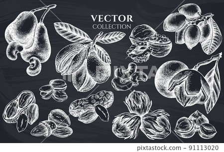 Badge design with chalk cashew, peanut, pistachio, etc. Badge design with chalk cashew, peanut, pistachio, etc. 91113020