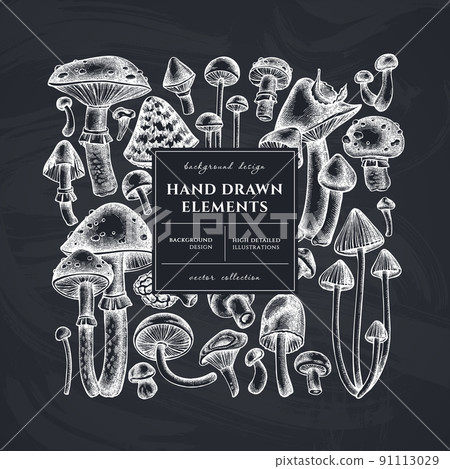 Forest mushrooms square card or invitation design. Frame design with mushrooms, fly agaric, blewit, etc. Forest mushrooms square card or invitation design. Frame design with mushrooms, fly agaric, blewit, etc. 91113029