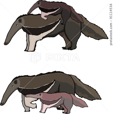 Giant anteater family 91114538