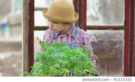 a little girl in a hat looks at the seedlings in the greenhouse. 91115332