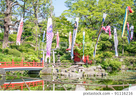 Carp streamer in Sudo Park / Bunkyo-ku, Tokyo 91116216
