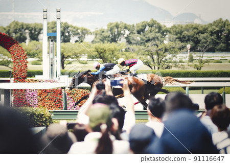 賽馬和觀眾 賽馬和觀眾 91116647