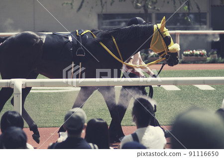 Paddock and spectators Paddock and spectators 91116650