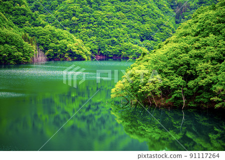 Tokuyama Lake / Green Reflection 91117264