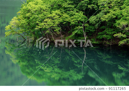 德山湖 / Green Reflection 德山湖 / Green Reflection 91117265