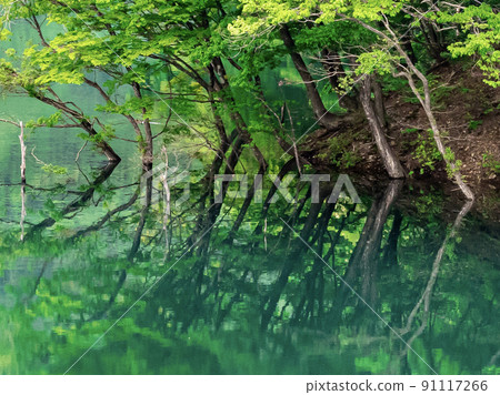 德山湖 / Green Reflection 德山湖 / Green Reflection 91117266