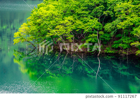 德山湖 / Green Reflection 德山湖 / Green Reflection 91117267