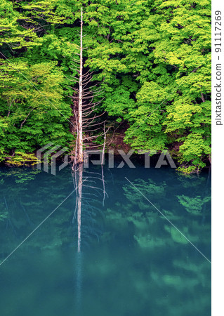 德山湖 / Green Reflection 德山湖 / Green Reflection 91117269