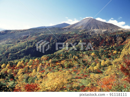 The collaboration between Azuma Kofuji in Fukushima Prefecture and the red and yellow autumn leaves is beautiful in the blue sky. 91118111