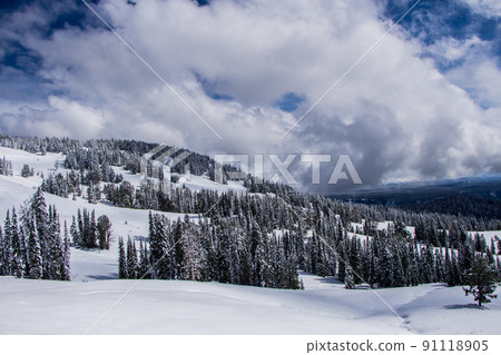 Yellowstone National Park in Autumn Yellowstone National Park in Autumn 91118905
