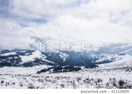 Yellowstone National Park in Autumn Yellowstone National Park in Autumn 91118909