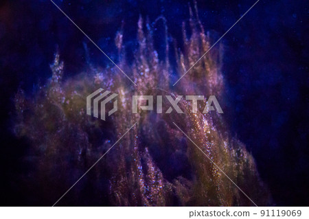 Utah Life Utah Life 91119069