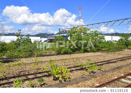 2021 年夏天。從赤穗線西大寺站到播州赤穗的車窗外的風景 2021 年夏天。從赤穗線西大寺站到播州赤穗的車窗外的風景 91119128