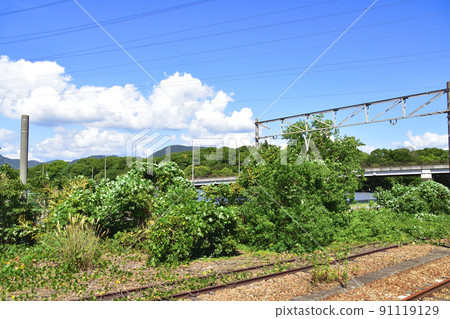 2021 年夏天。從赤穗線西大寺站到播州赤穗的車窗外的風景 2021 年夏天。從赤穗線西大寺站到播州赤穗的車窗外的風景 91119129