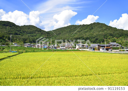 Summer 2021. Scenery from the train window between Saidaiji Station on the Ako Line and Banshu-Ako Summer 2021. Scenery from the train window between Saidaiji Station on the Ako Line and Banshu-Ako 91119153