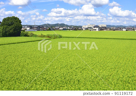 Summer 2021. Scenery from the train window between Saidaiji Station on the Ako Line and Banshu-Ako 91119172