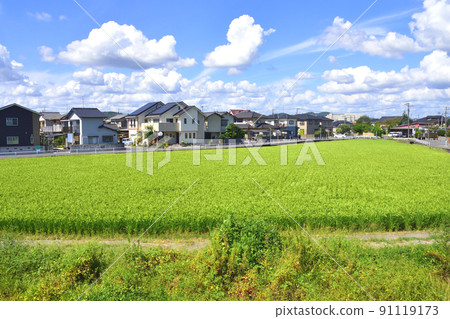Summer 2021. Scenery from the train window between Saidaiji Station on the Ako Line and Banshu-Ako Summer 2021. Scenery from the train window between Saidaiji Station on the Ako Line and Banshu-Ako 91119173