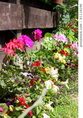 英格蘭東北部的春天第 2 部分 91119246