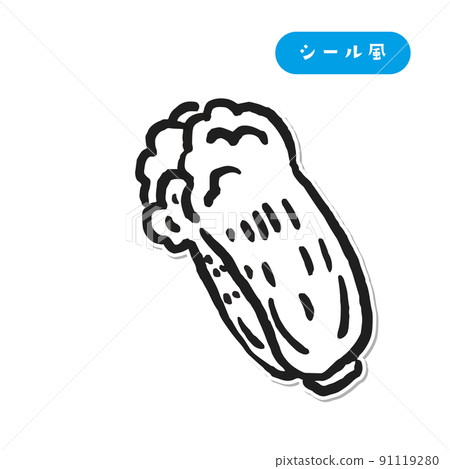 無色蔬菜大白菜貼紙風格的插圖 無色蔬菜大白菜貼紙風格的插圖 91119280