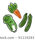 蔬菜插圖胡蘿蔔、大白菜、黃瓜 91119283