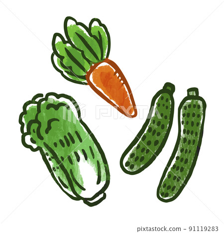 蔬菜插圖胡蘿蔔、大白菜、黃瓜 91119283