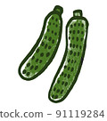 蔬菜插圖黃瓜 91119284